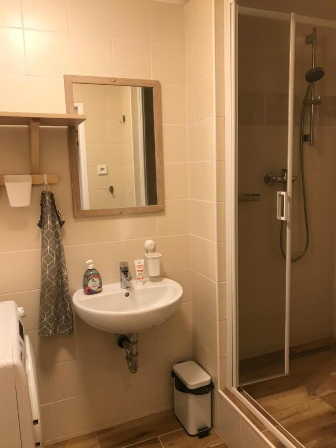 Apartman Orlicke Zahori Eksteriør billede