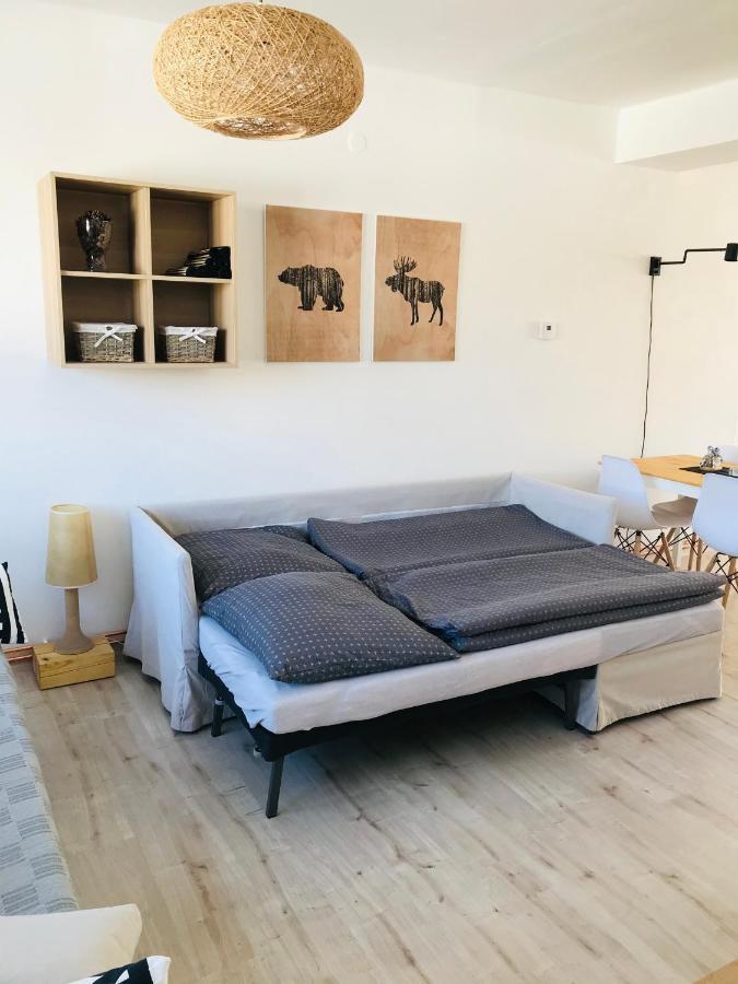 Apartman Orlicke Zahori Eksteriør billede