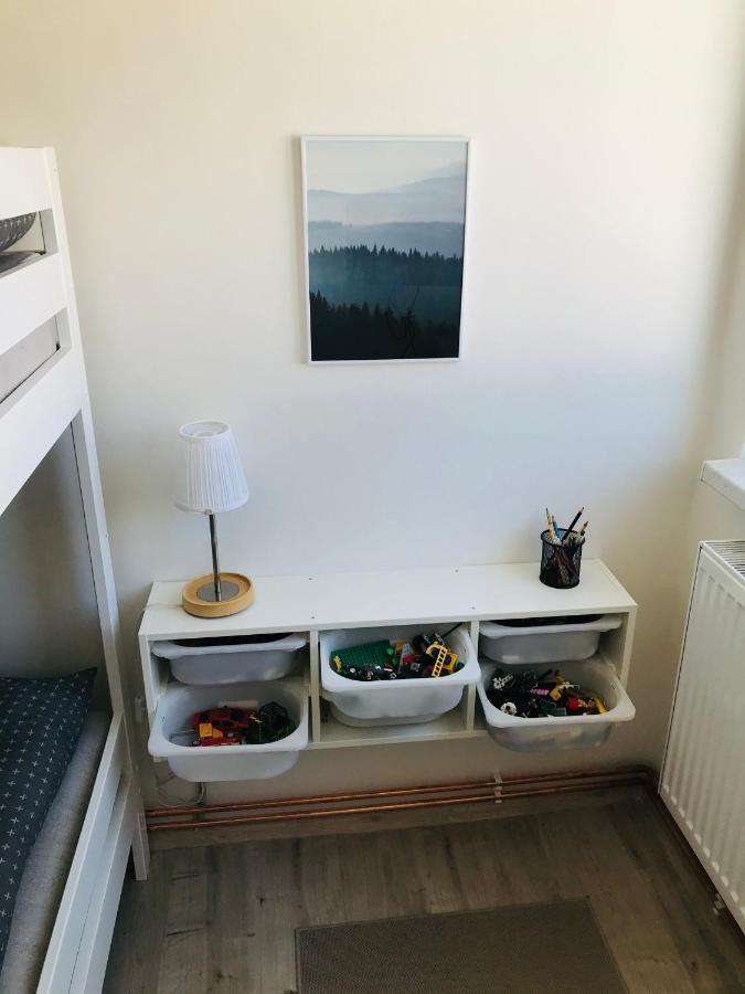 Apartman Orlicke Zahori Eksteriør billede